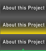 About this Project