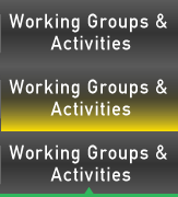 Working Groups & Activities